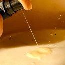 Restorative Oil for Skin + Scalp Psoriasis and Eczema (50ml) (Contact Dermatitis, Psoriasis Treatment Oil) - Oleum Cottage
